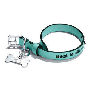 Animal Fancy: East Bay Pet Products